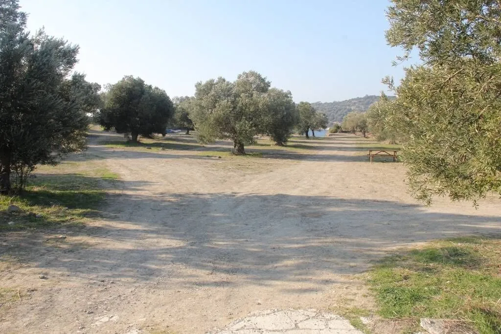 Bademli-1