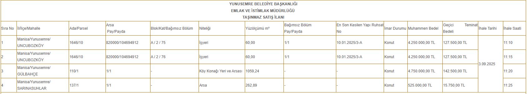 Yunusemre2