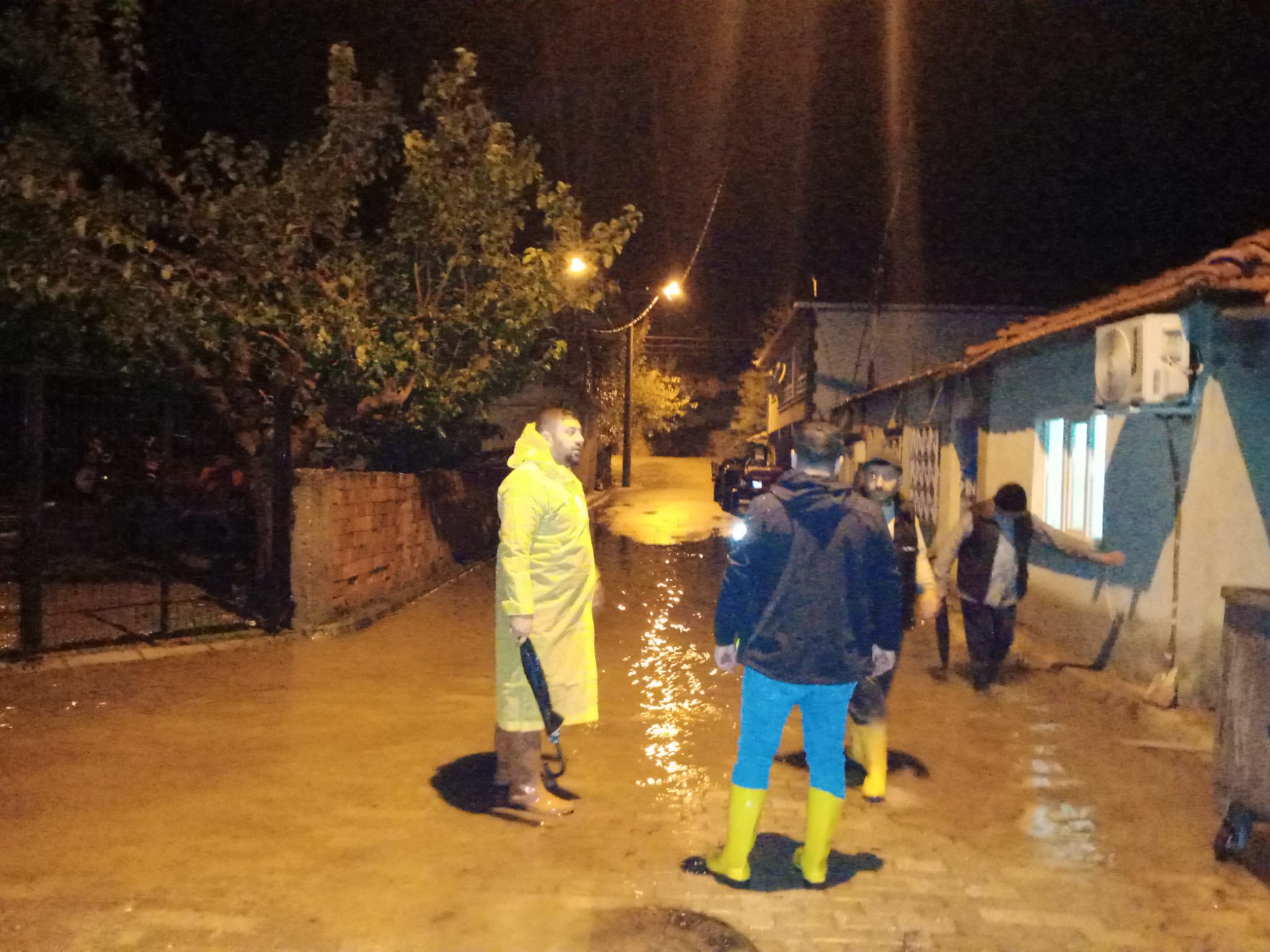 571259457 1346977887441765 7861522574551854040 N