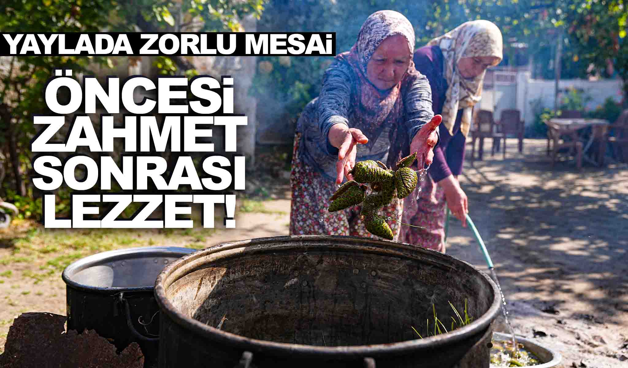 İzmir’de kadınlar yaylalara çıktı… İmece usulü yapıyorlar