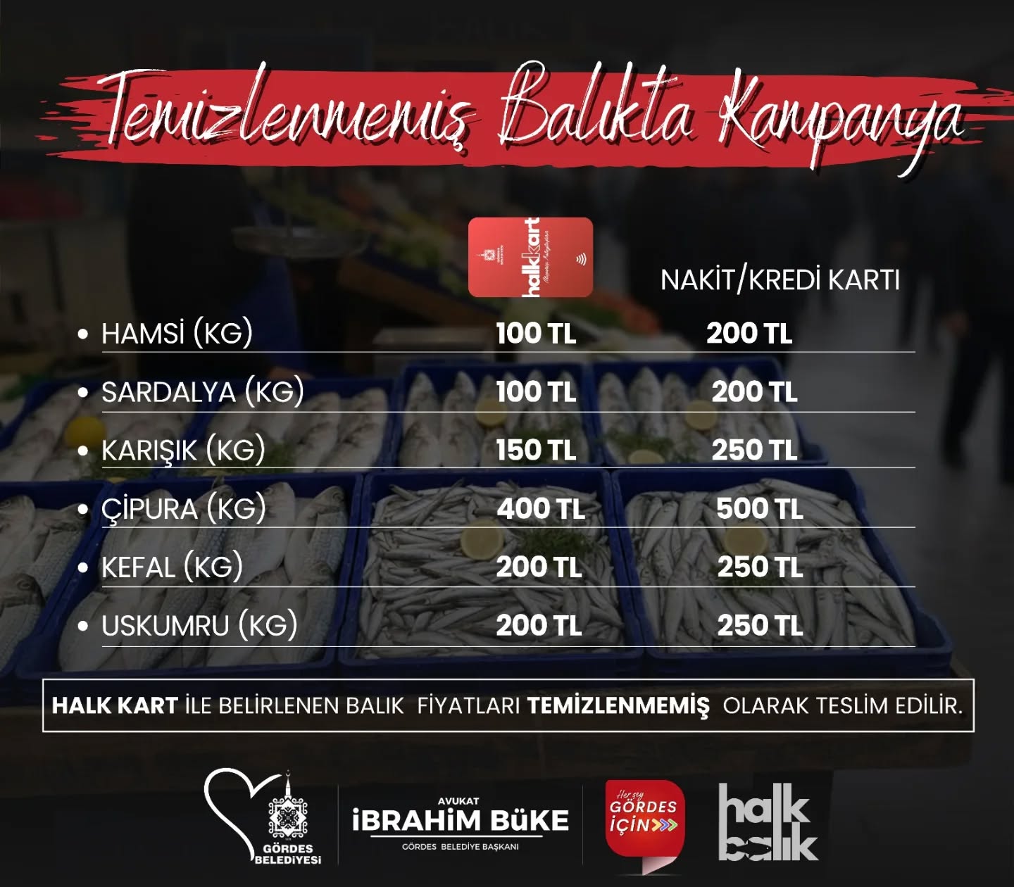 583805031 17919861042208621 2894554797986895696 N