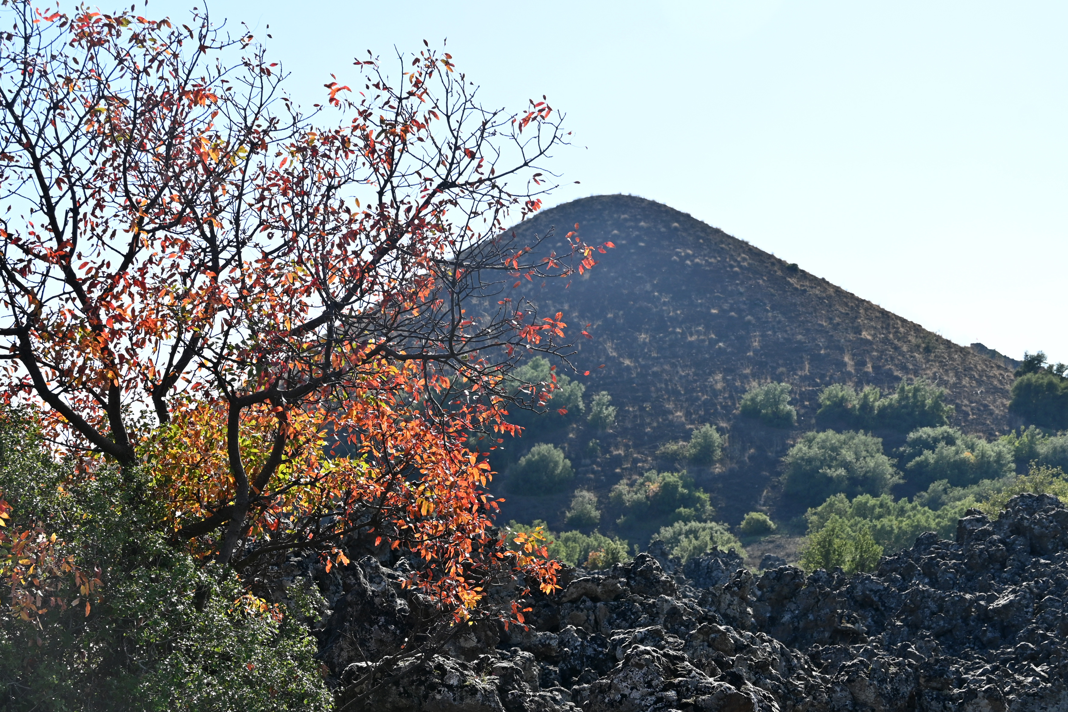 A A 20251108 39648730 39648724 Y A N I K U L K E D E S O N B A H A R R E N K L E R I