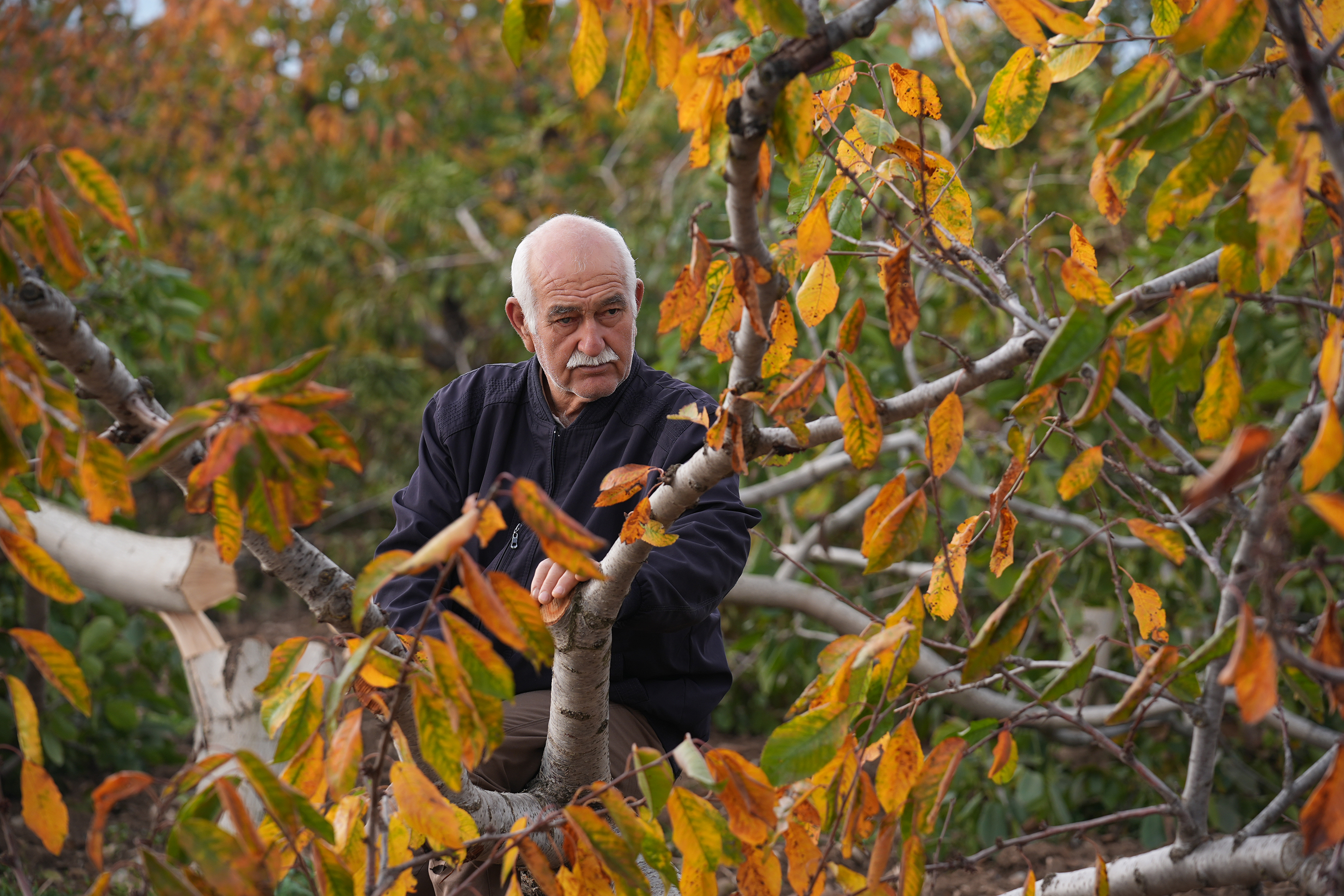 A A 20251126 39809971 39809963 I Z M I R D E 20 Y I L L I K C E V I Z A G A C L A R I N I K E S I L M I S H A L D E B U L A N C I F T C I J A N D A R M A Y A B A S V U R D U