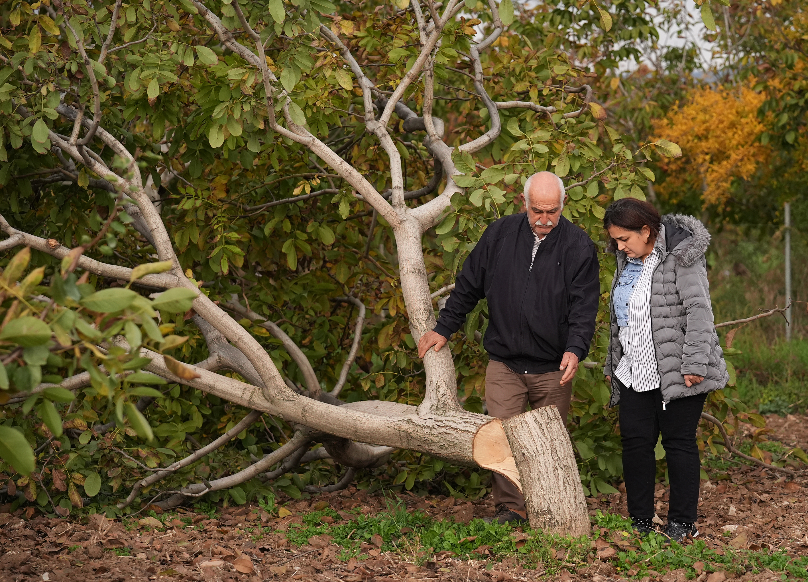 A A 20251126 39809971 39809968 I Z M I R D E 20 Y I L L I K C E V I Z A G A C L A R I N I K E S I L M I S H A L D E B U L A N C I F T C I J A N D A R M A Y A B A S V U R D U