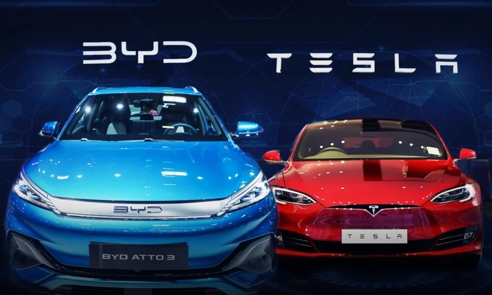 Tesla Vs B Y D 1000X600