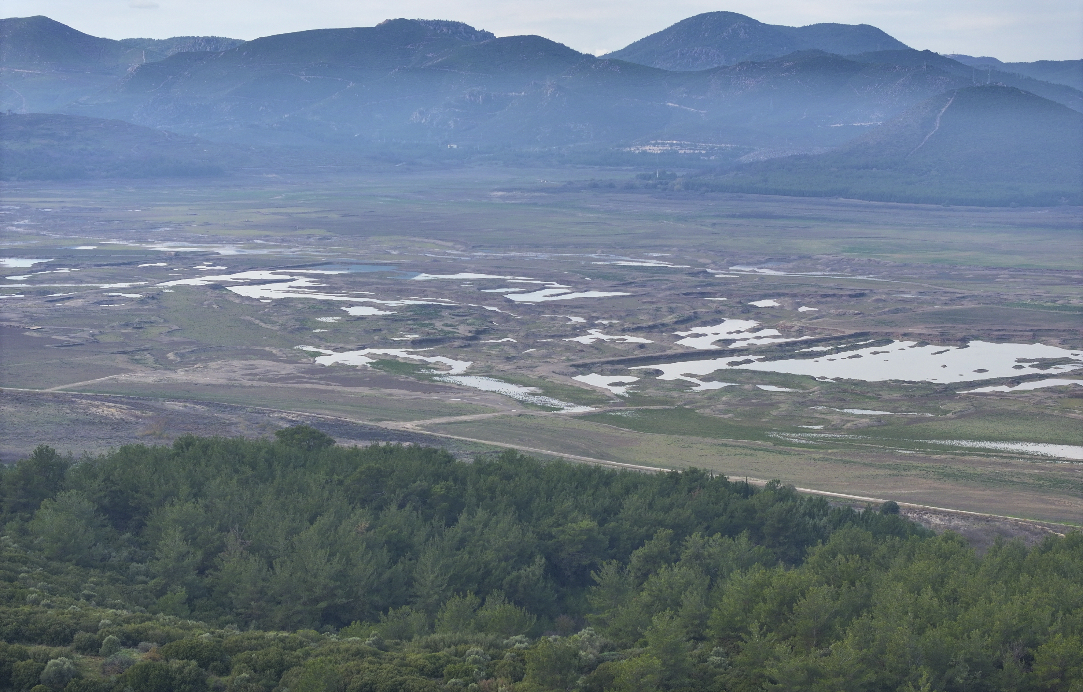 A A 20251210 39940237 39940217 I Z M I R D E K I I C M E S U Y U B A R A J L A R I K U R A K L I K N E D E N I Y L E A L A R M V E R I Y O R