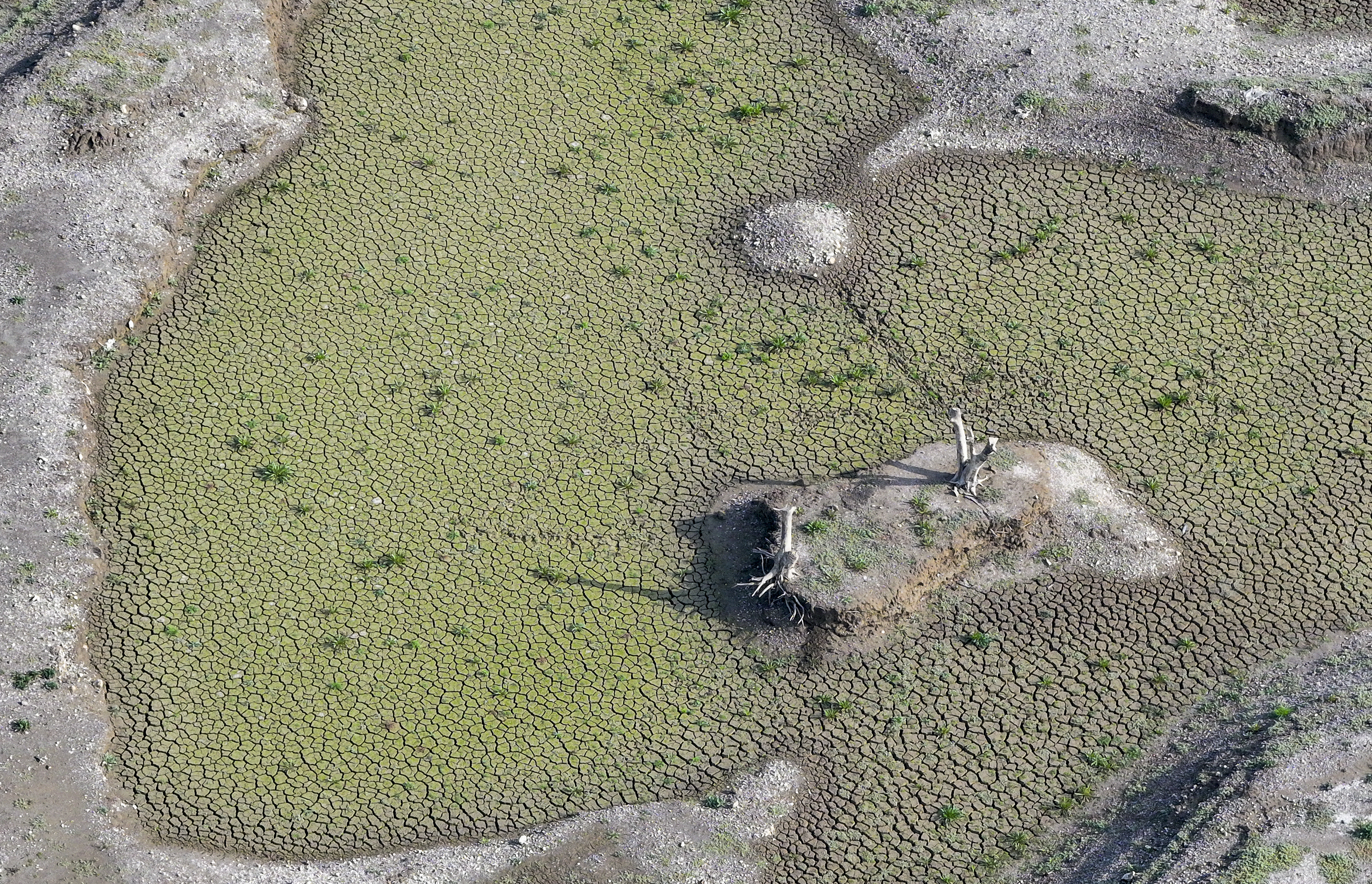 A A 20251210 39940237 39940227 I Z M I R D E K I I C M E S U Y U B A R A J L A R I K U R A K L I K N E D E N I Y L E A L A R M V E R I Y O R