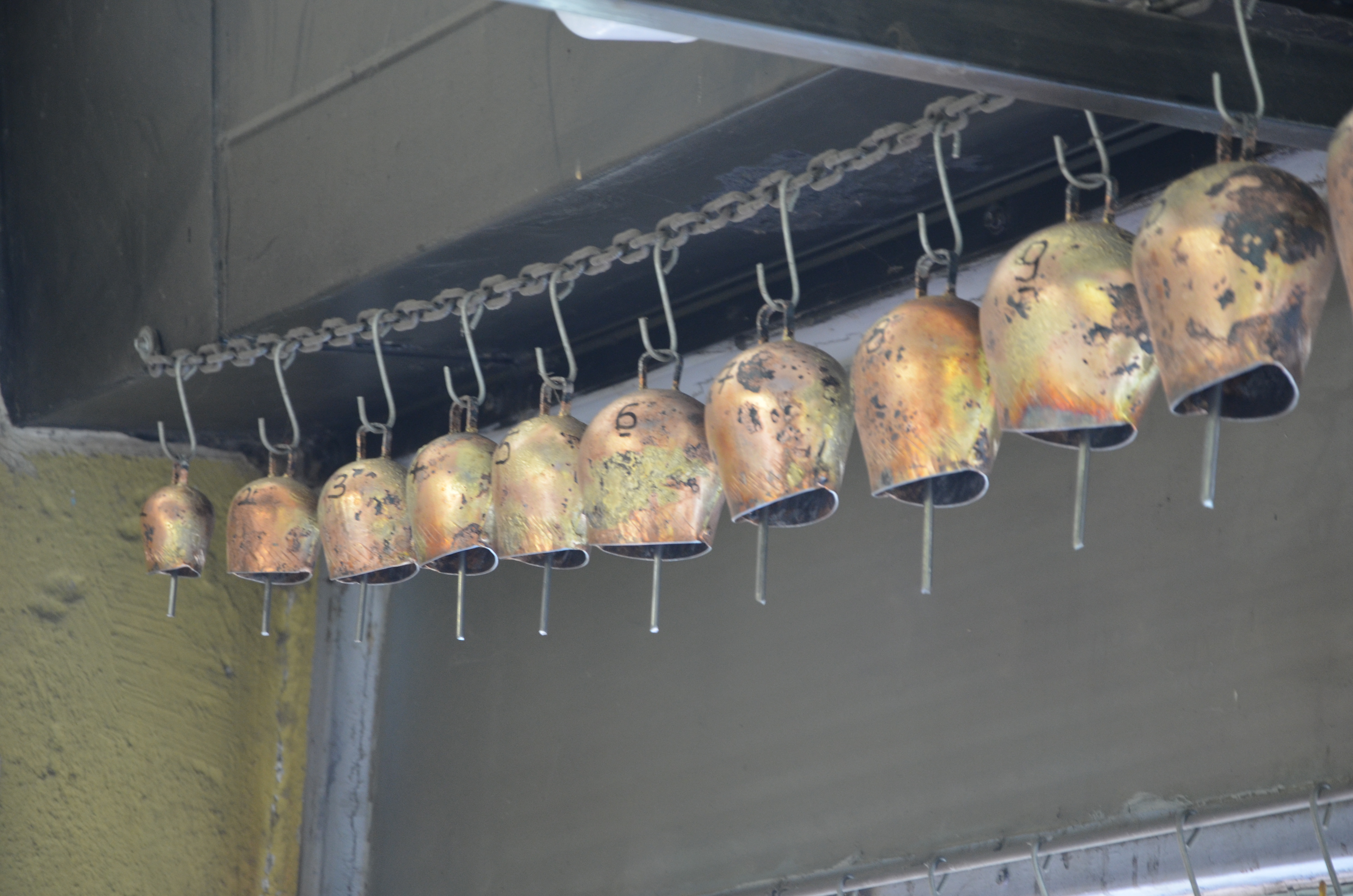 A A 20251220 40031138 40031137 M A N I S A L I C A N U S T A S I 65 Y I L D I R A T O L Y E S I N D E U R E T I M Y A P I Y O R