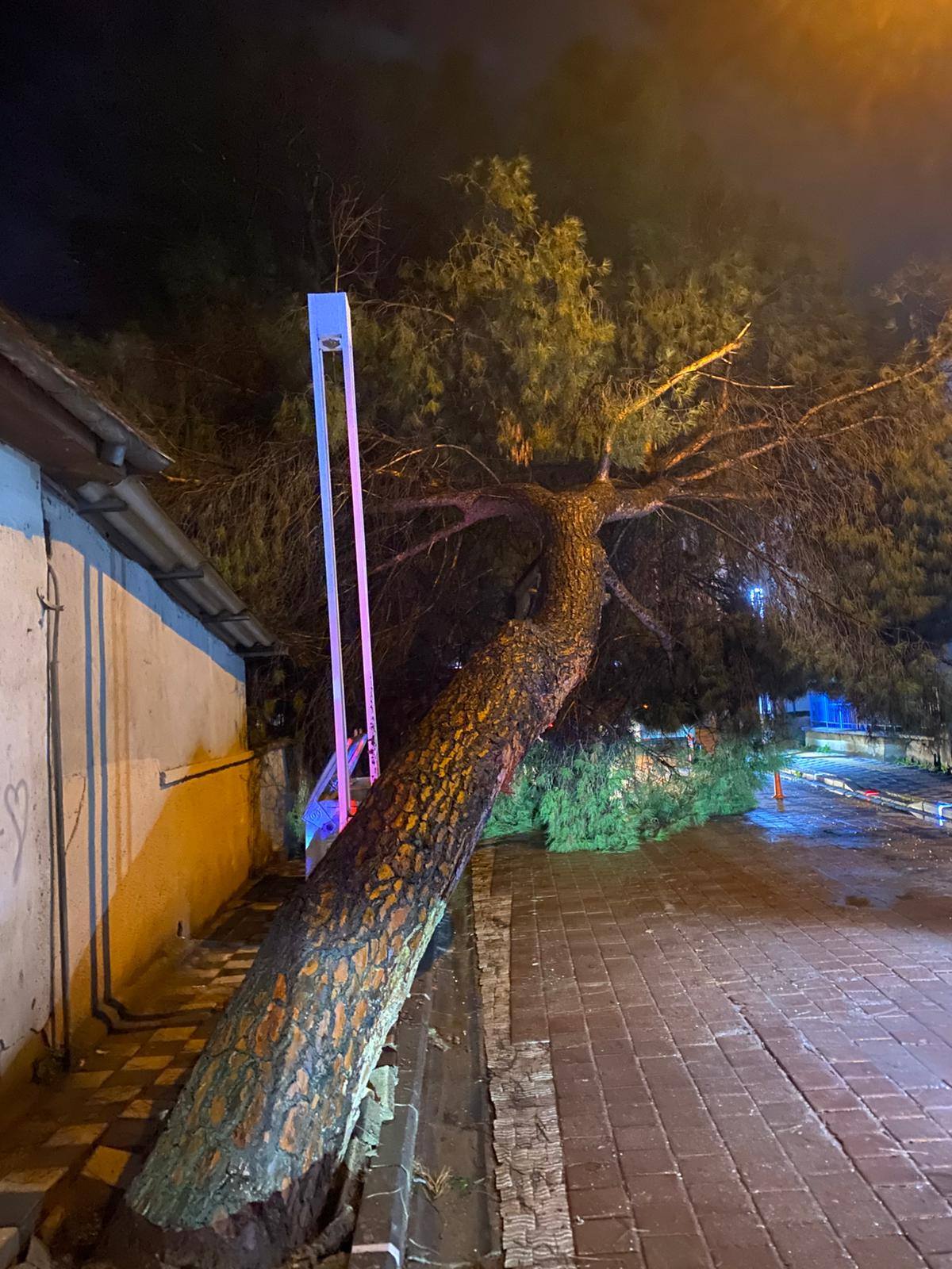 619670138 26743207955269839 494541468871092570 N