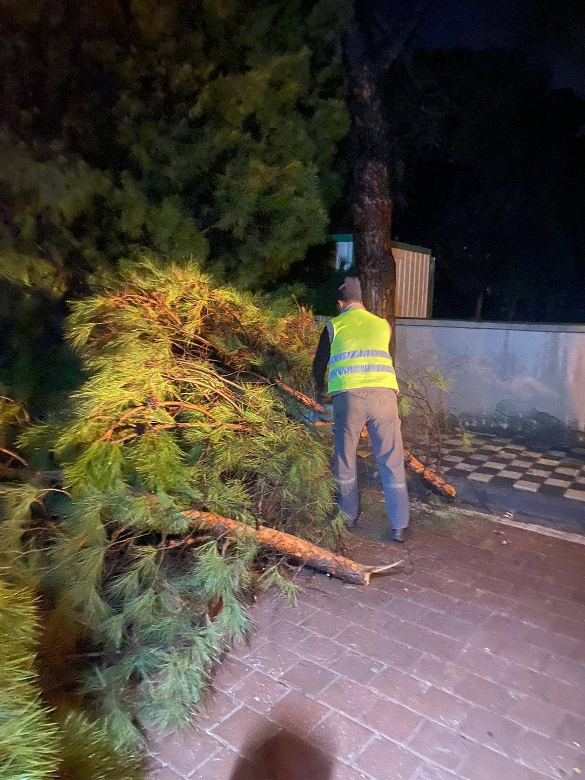 623391665 26743210261936275 3694842390597076986 N