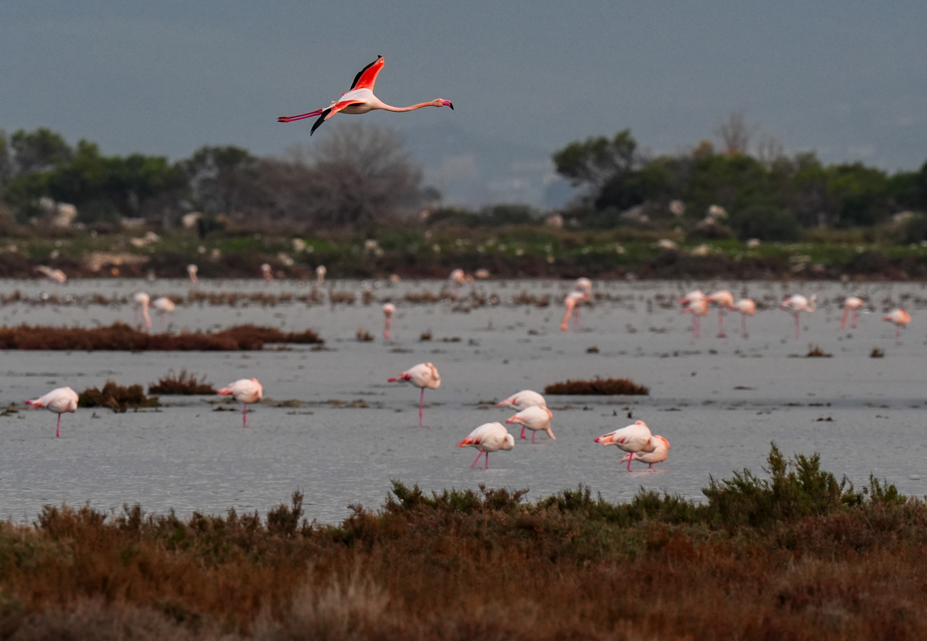 A A 20260131 40415151 40415145 K U R A K L I K G E D I Z D E L T A S I N D A K I R L I L I G I N E T K I S I N I A R T I R I Y O R