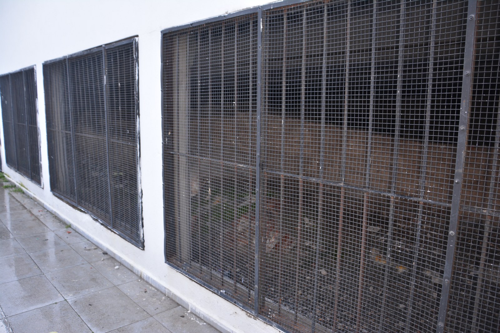 D S C 0416 1600X1068