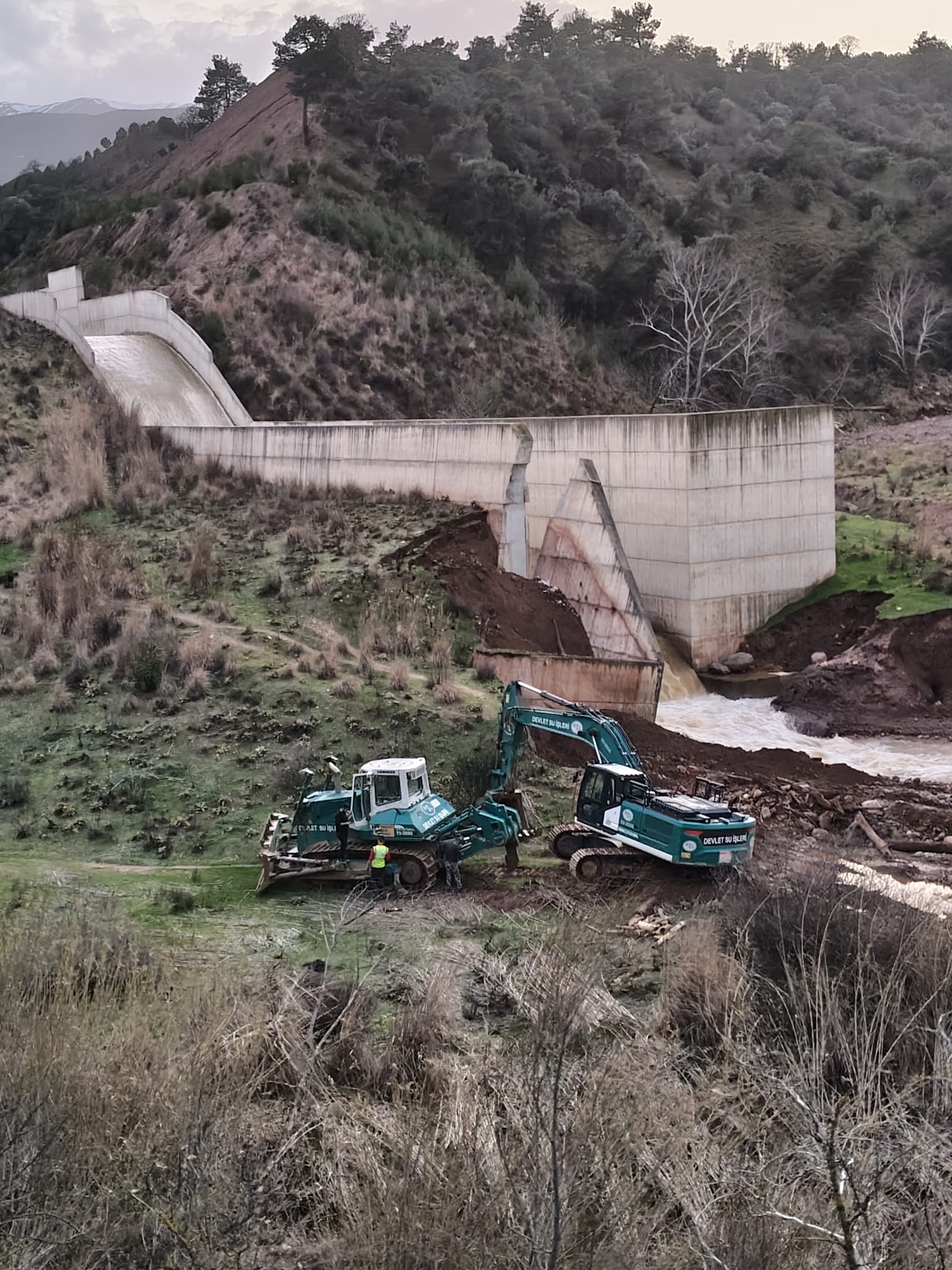 4A5E1E58 2E4B 4A2E B8E4 7Ad796Edd28F