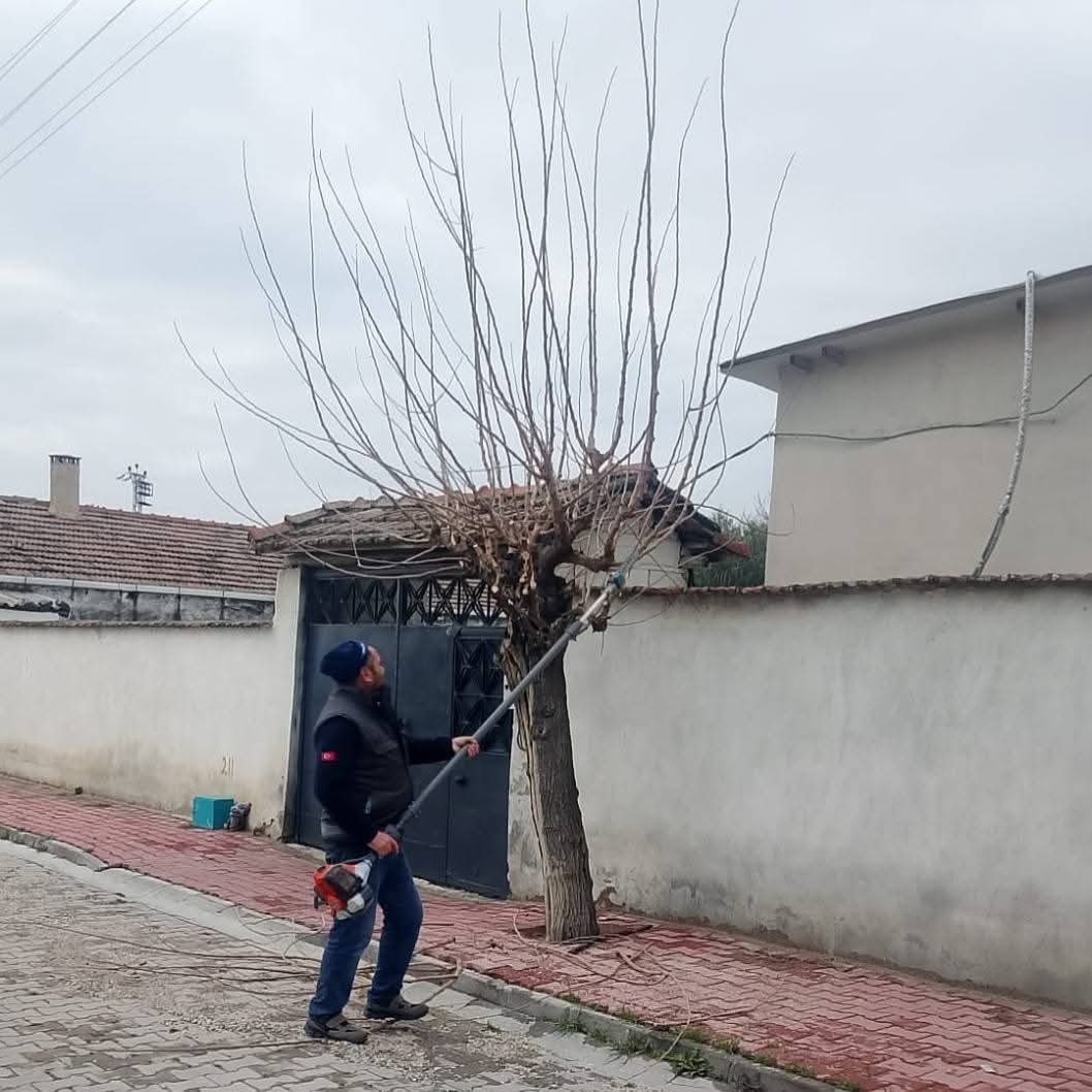 632482389 1230212485960925 2253568223304721473 N