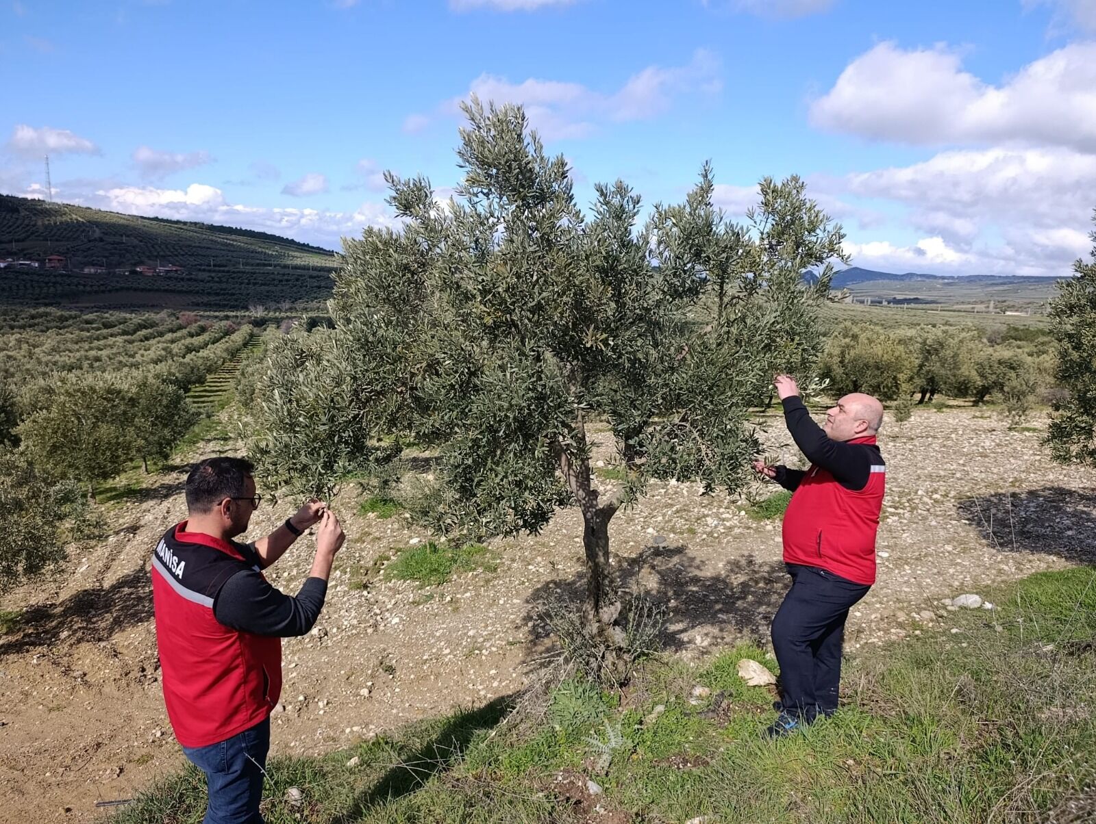 641002351 1409818741190777 8450143110681482817 N