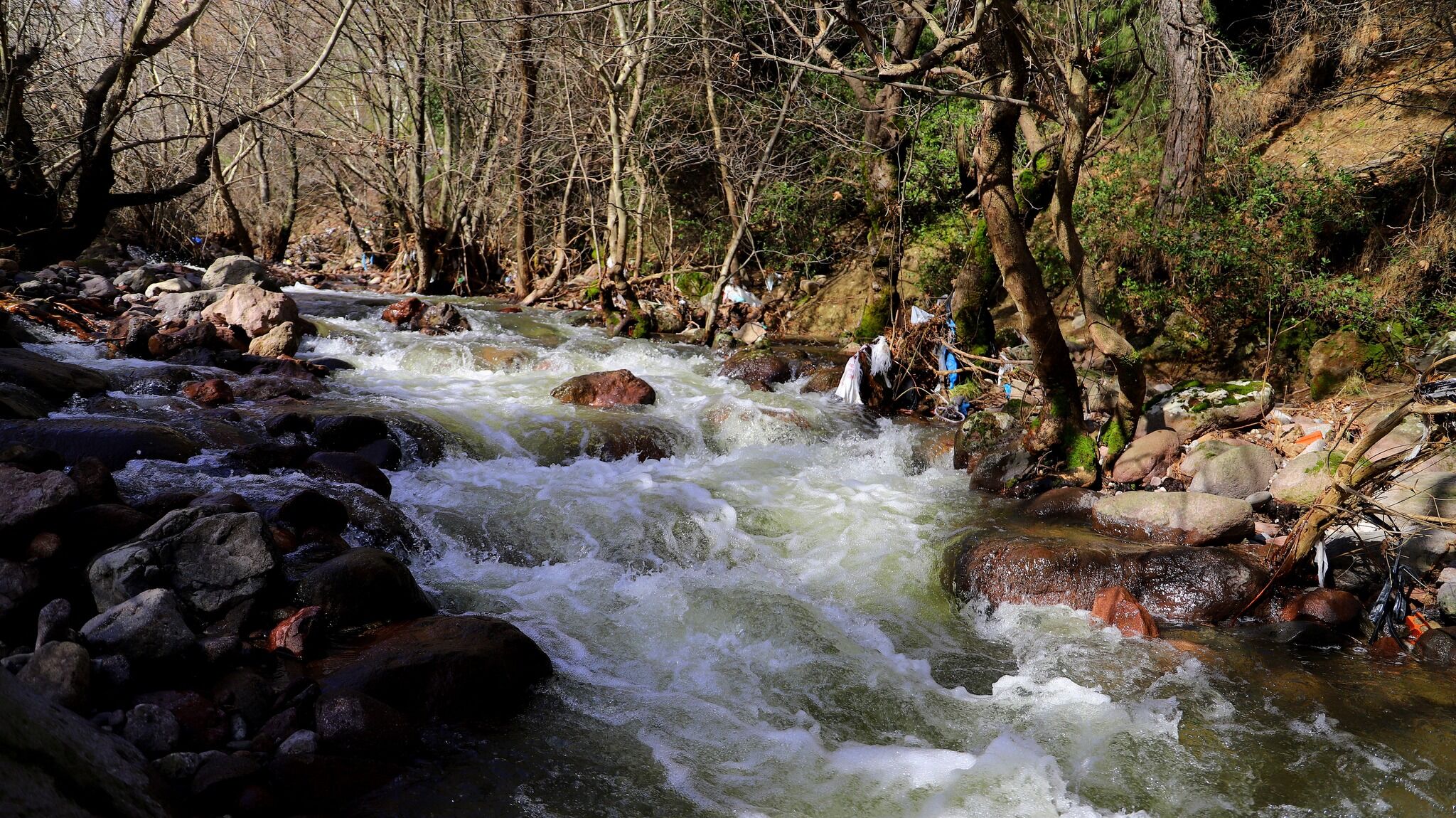 643747261 1242109234771250 5925676268213006070 N