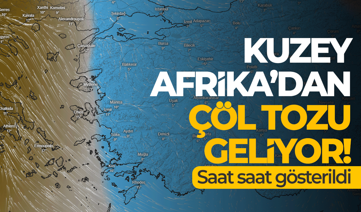 Afrika'dan çıktı Manisa'ya geliyor! Gökyüzünü saracak...