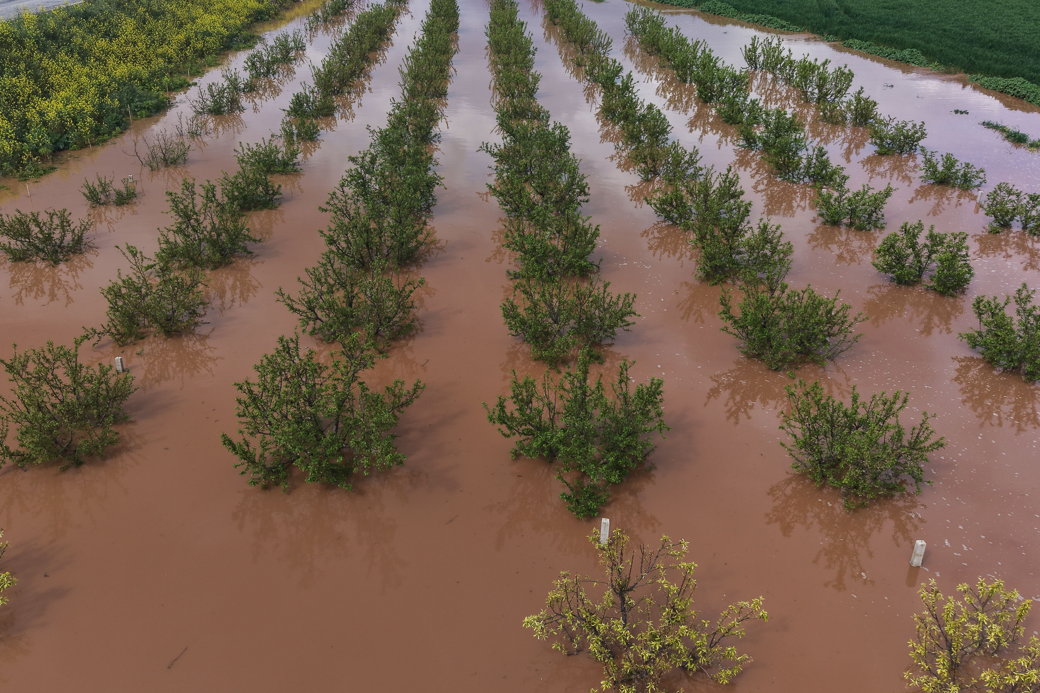 A A 20260329 40961254 40961237 G E D I Z N E H R I T A S T I M A N I S A D A T A R I M A R A Z I L E R I S U A L T I N D A K A L D I