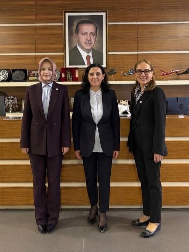 144909C6 65D2 494D 8F82 Fae51C703Ed3