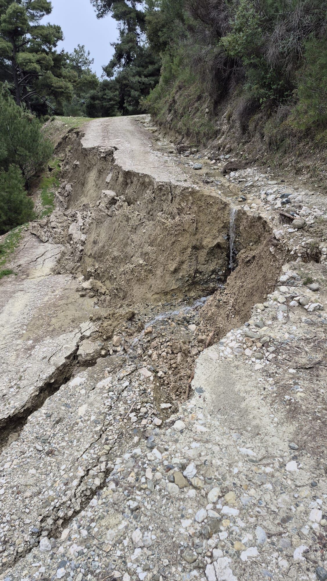 9Da72B91 F164 40E5 8B7E E957Ad73C82E