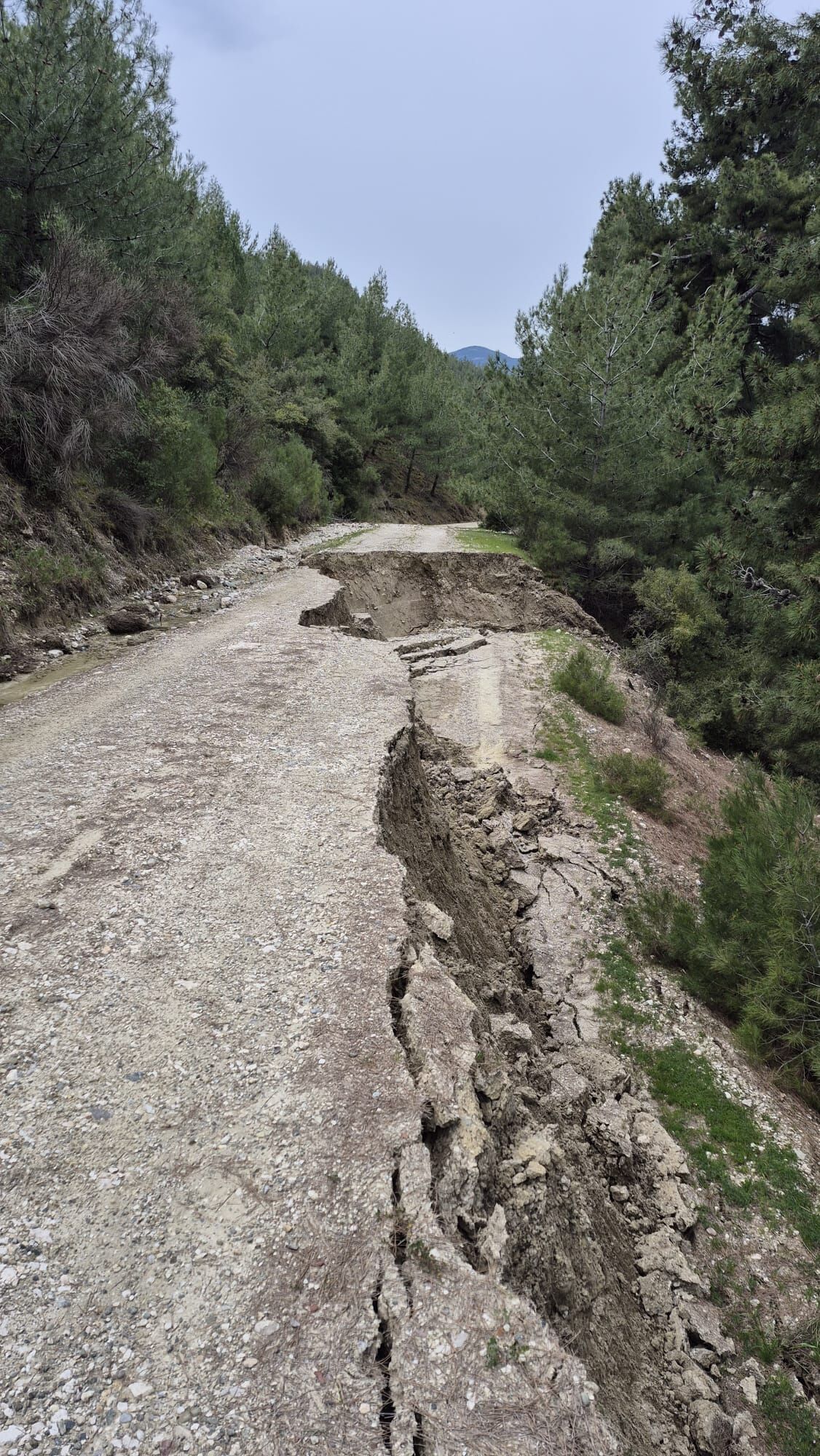 Bc963A54 01B9 487E A0Ec 38A615201Bb6