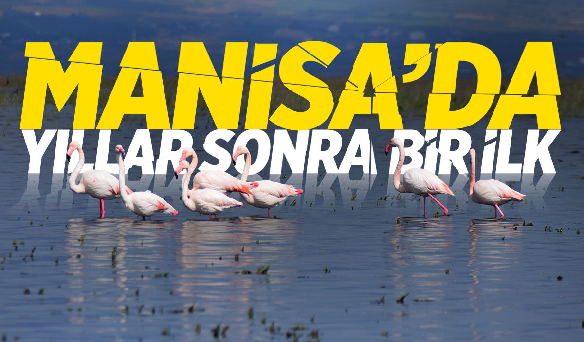 Manisa'da yıllar sonra bir ilk!