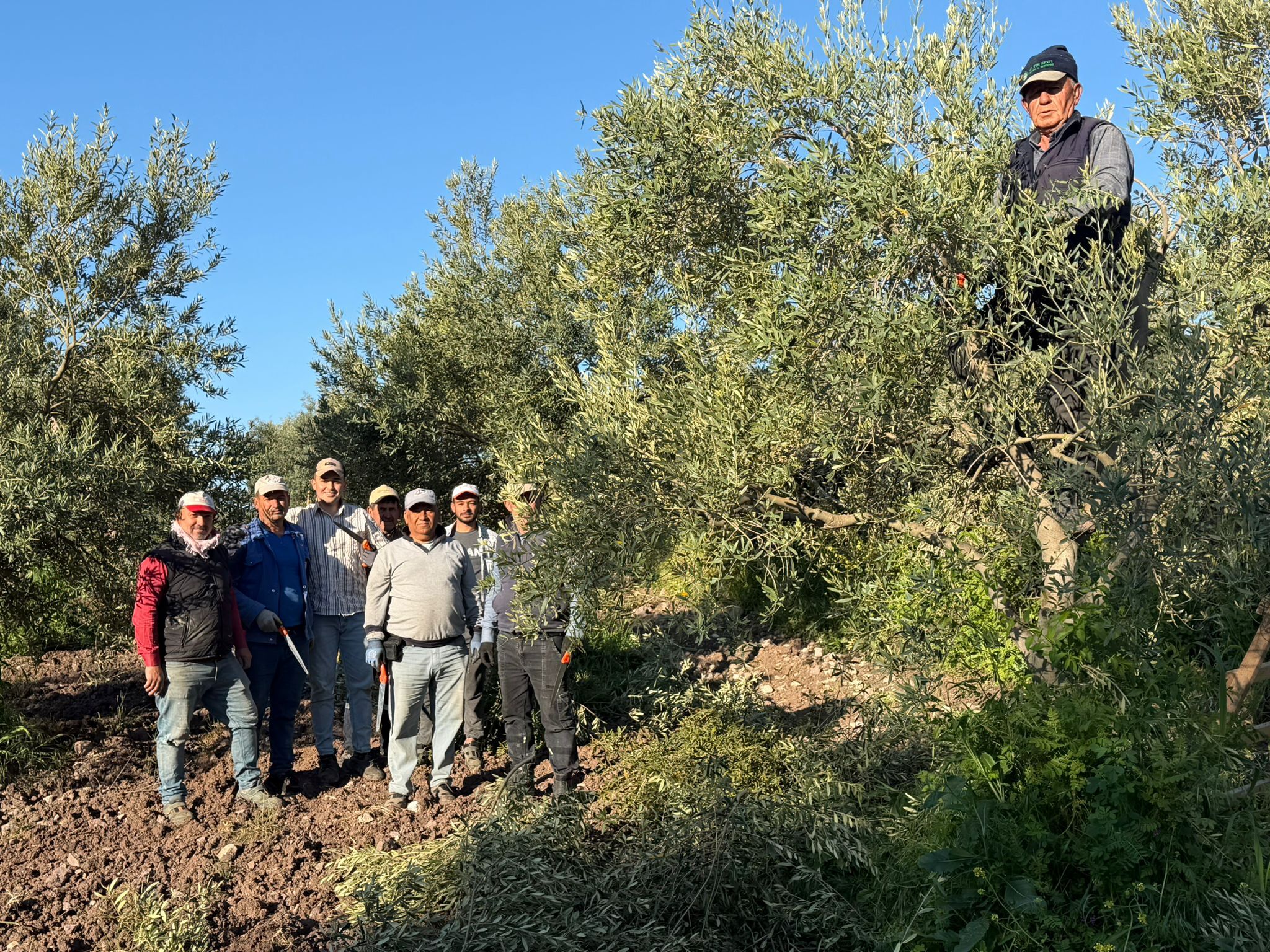 Whatsapp Image 2026 04 24 At 16.24.52