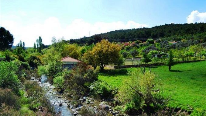 Çiçekli Köy İzmir 2 106012 678X381