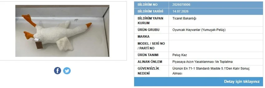 Fhj 1Zts