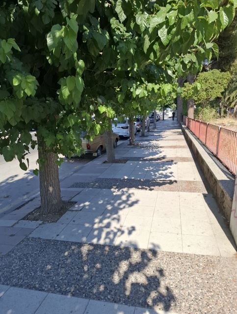Şlkjşjği
