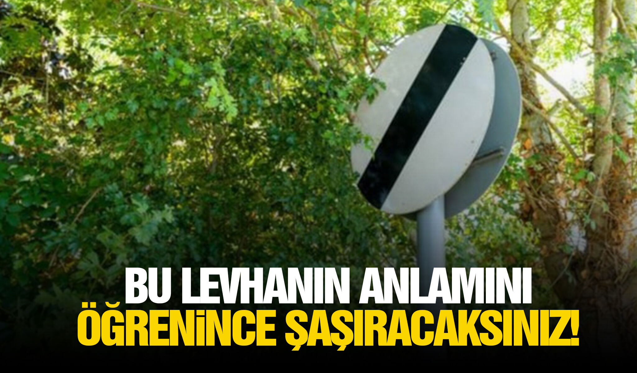 Bu levhanın anlamını öğrenince şaşıracaksınız!