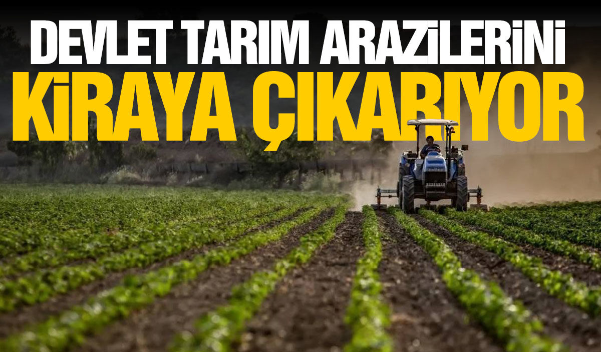 Devlet işlenmeyen tarım arazilerini kiralayacak!