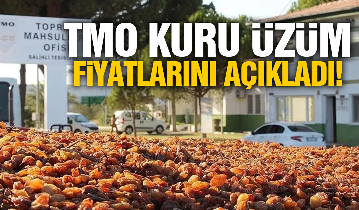 TMO kuru üzüm alım fiyatını açıkladı