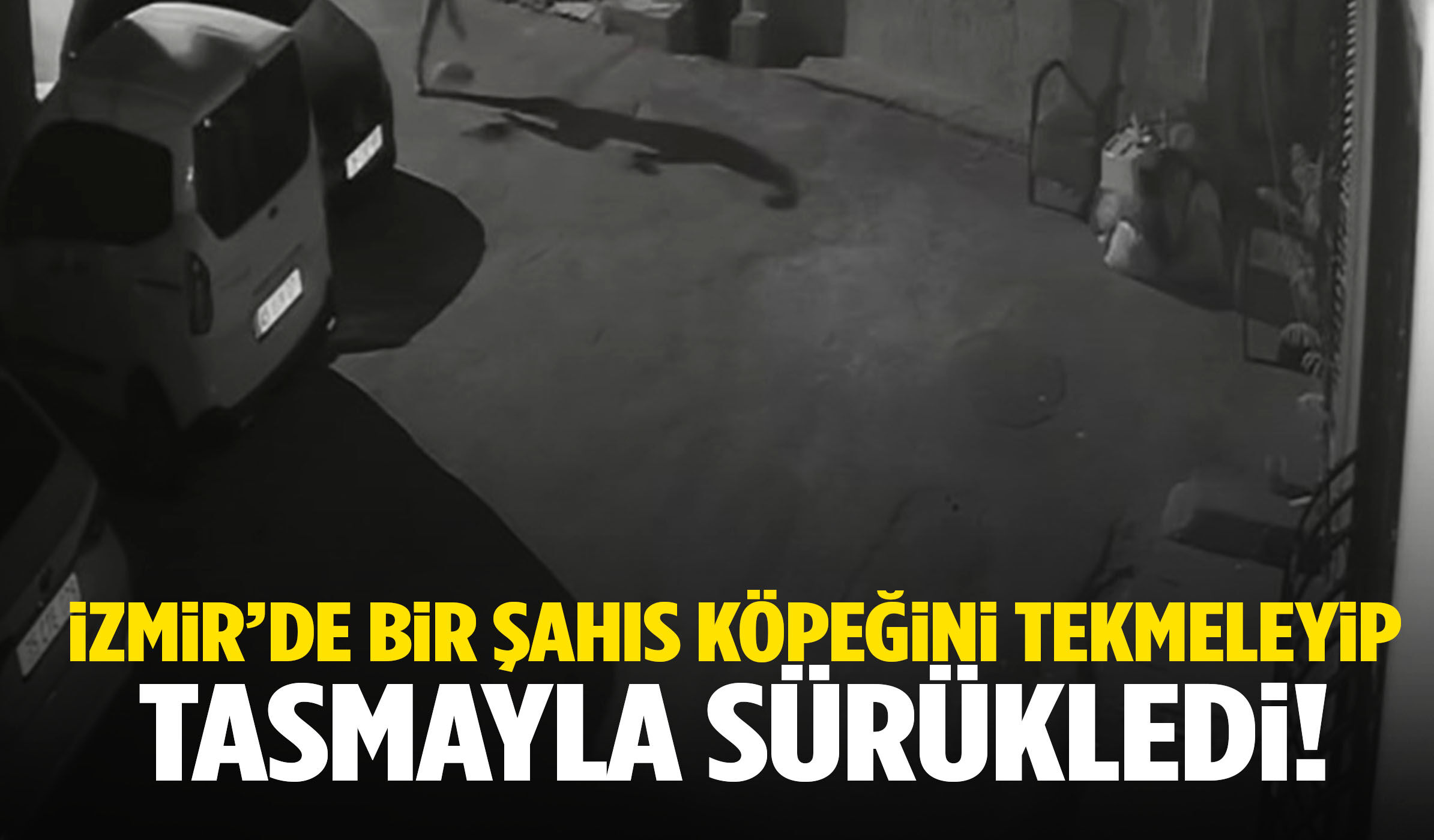 İzmir’de bir şahıs köpeğini tekmeleyip tasmayla sürükledi!