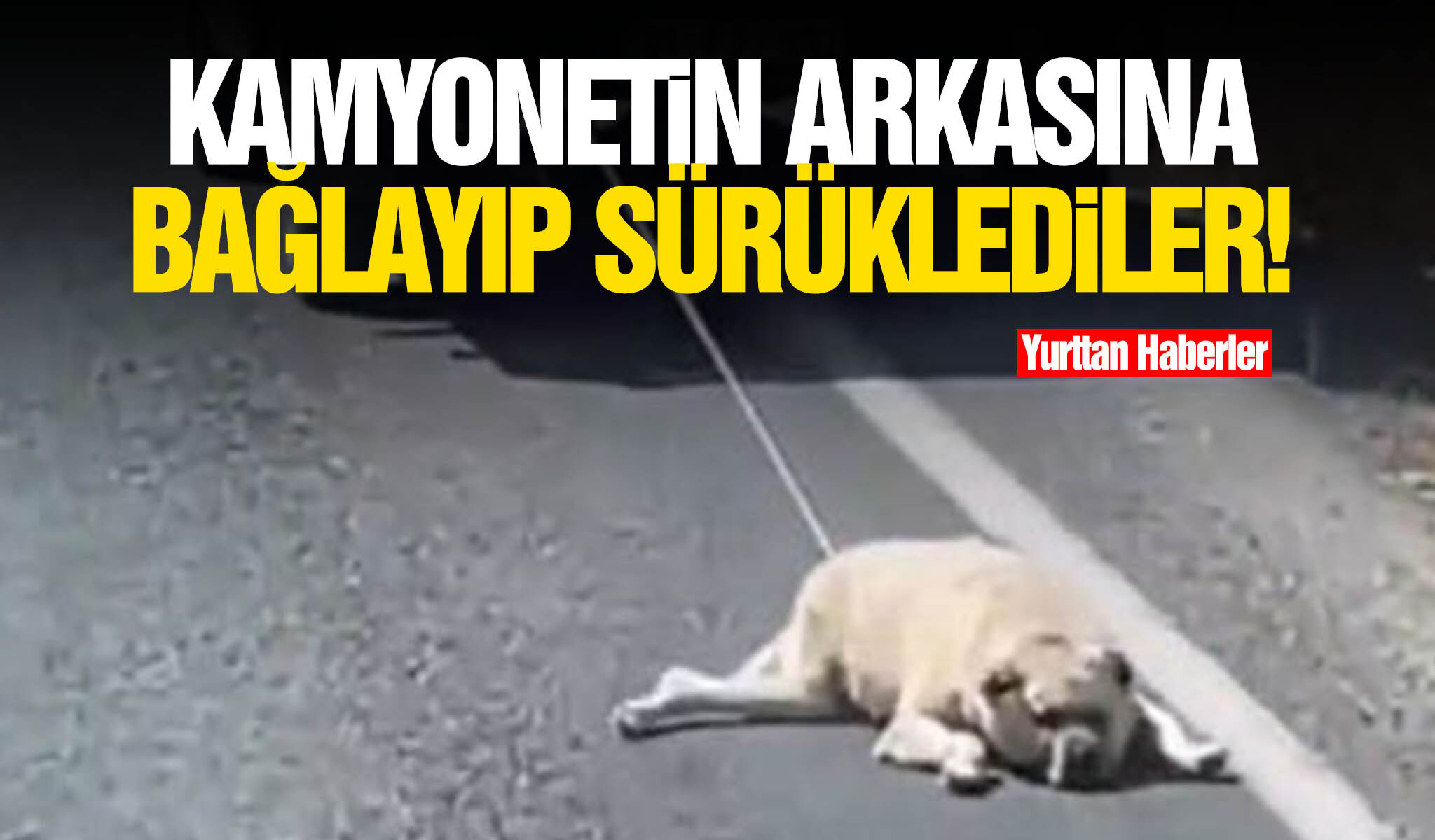 Kamyonetin arkasına bağlayıp sürüklediler!