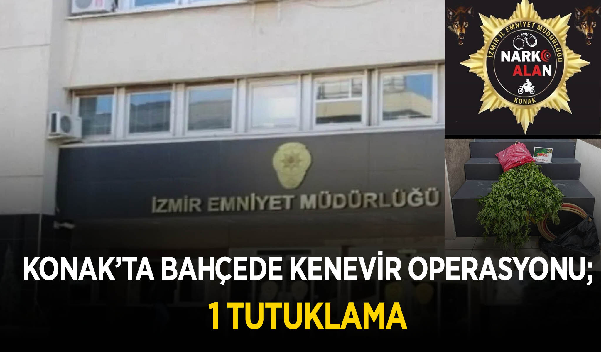 Konak'ta bahçede kenevir operasyonu; 1 tutuklama