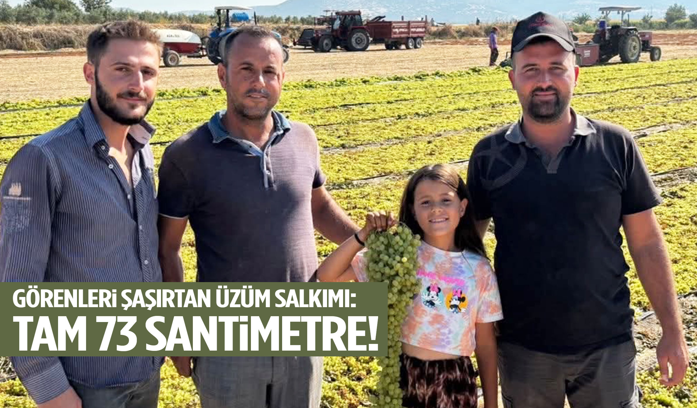 Manisa’da bu üzüm salkımını gören bir daha baktı! Tam 73 santimetre…