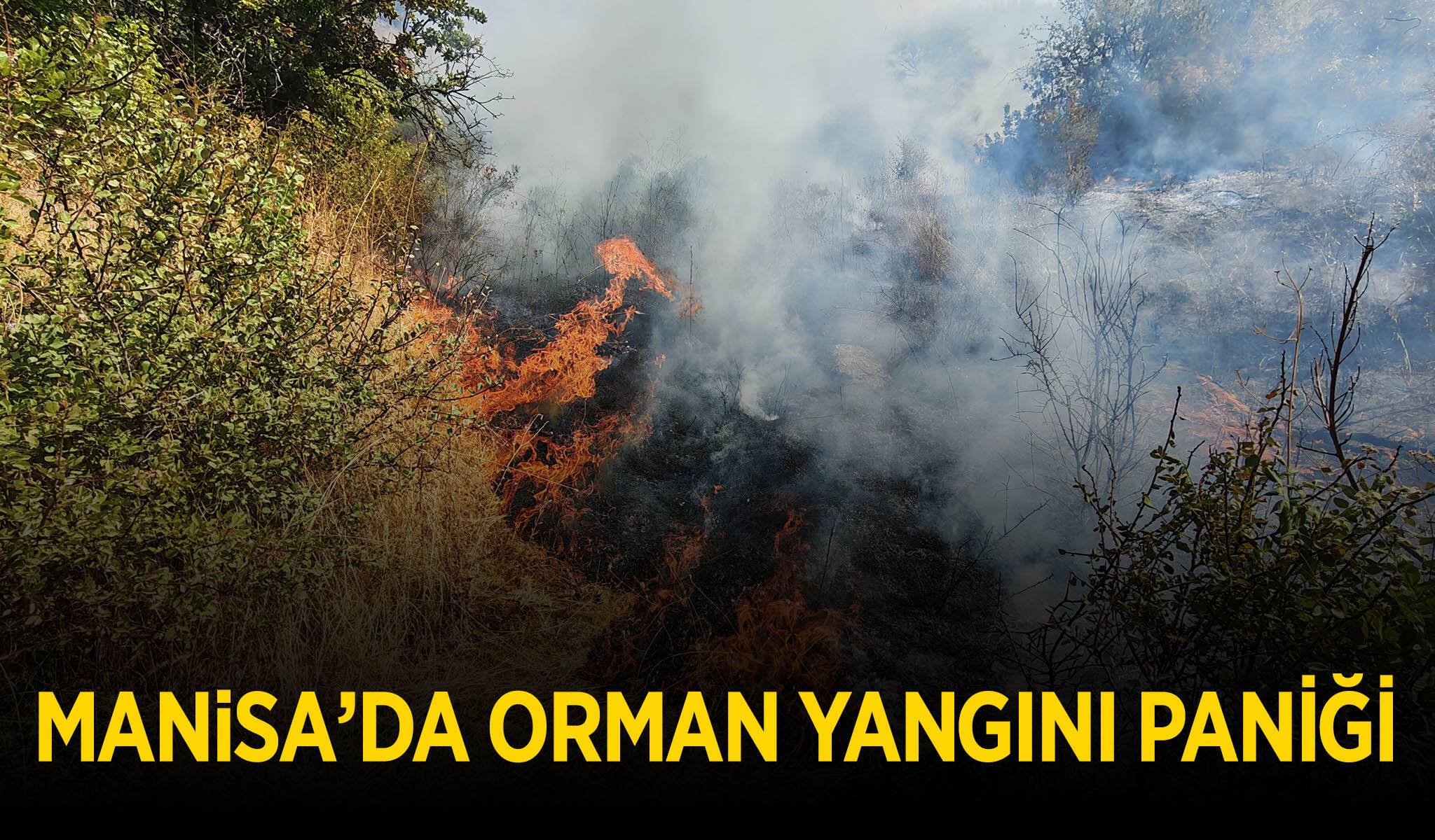 Manisa'da orman yangını paniği