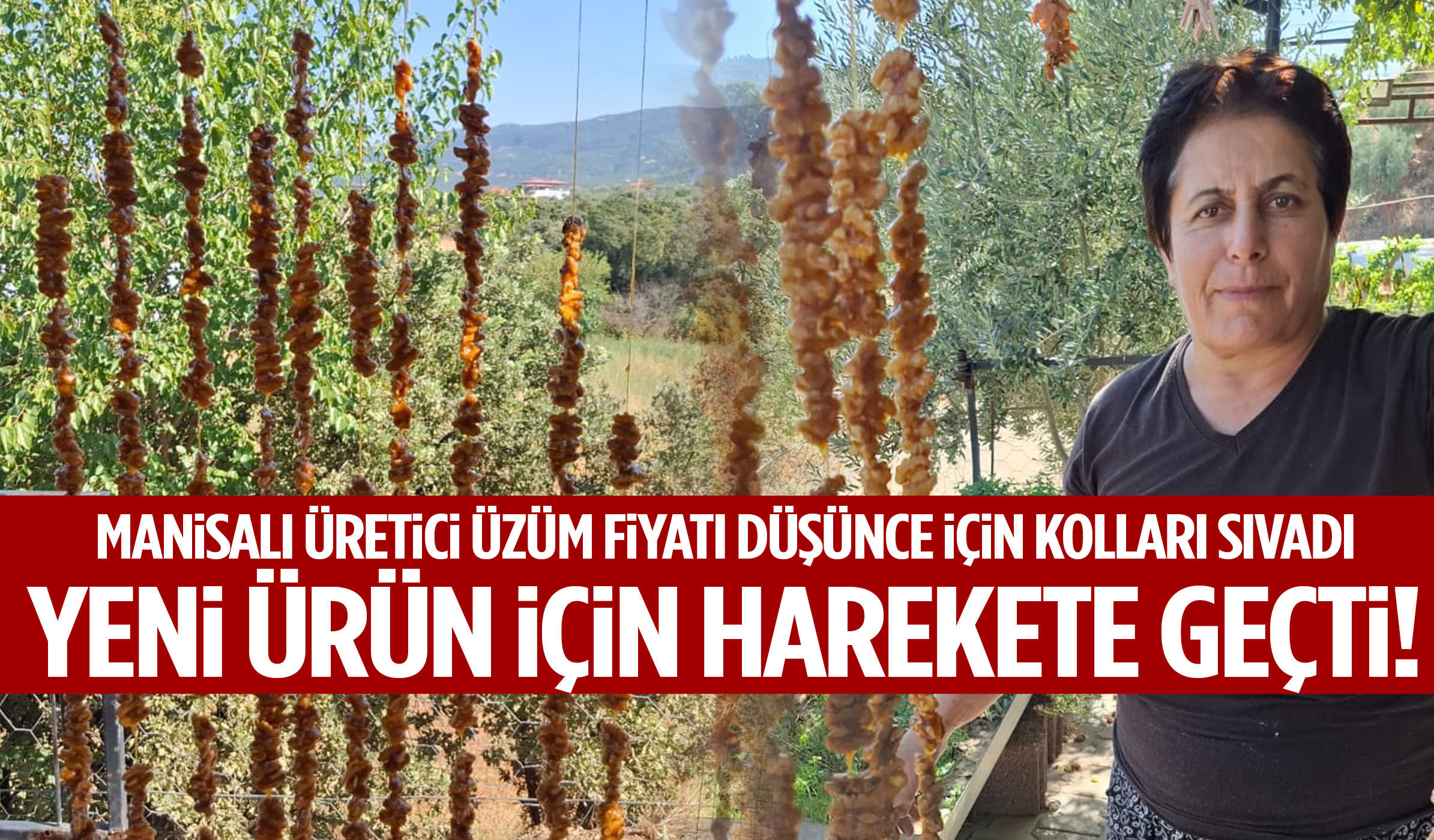 Manisalı üretici üzüm fiyatı düşünce kolları sıvadı… Yeni ürün için harekete geçti!