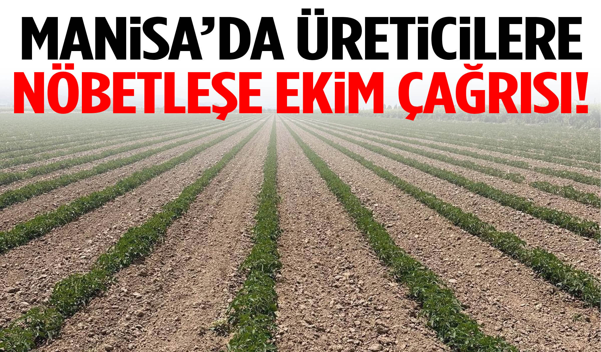 Manisa’da üreticilere nöbetleşe ekim çağrısı!