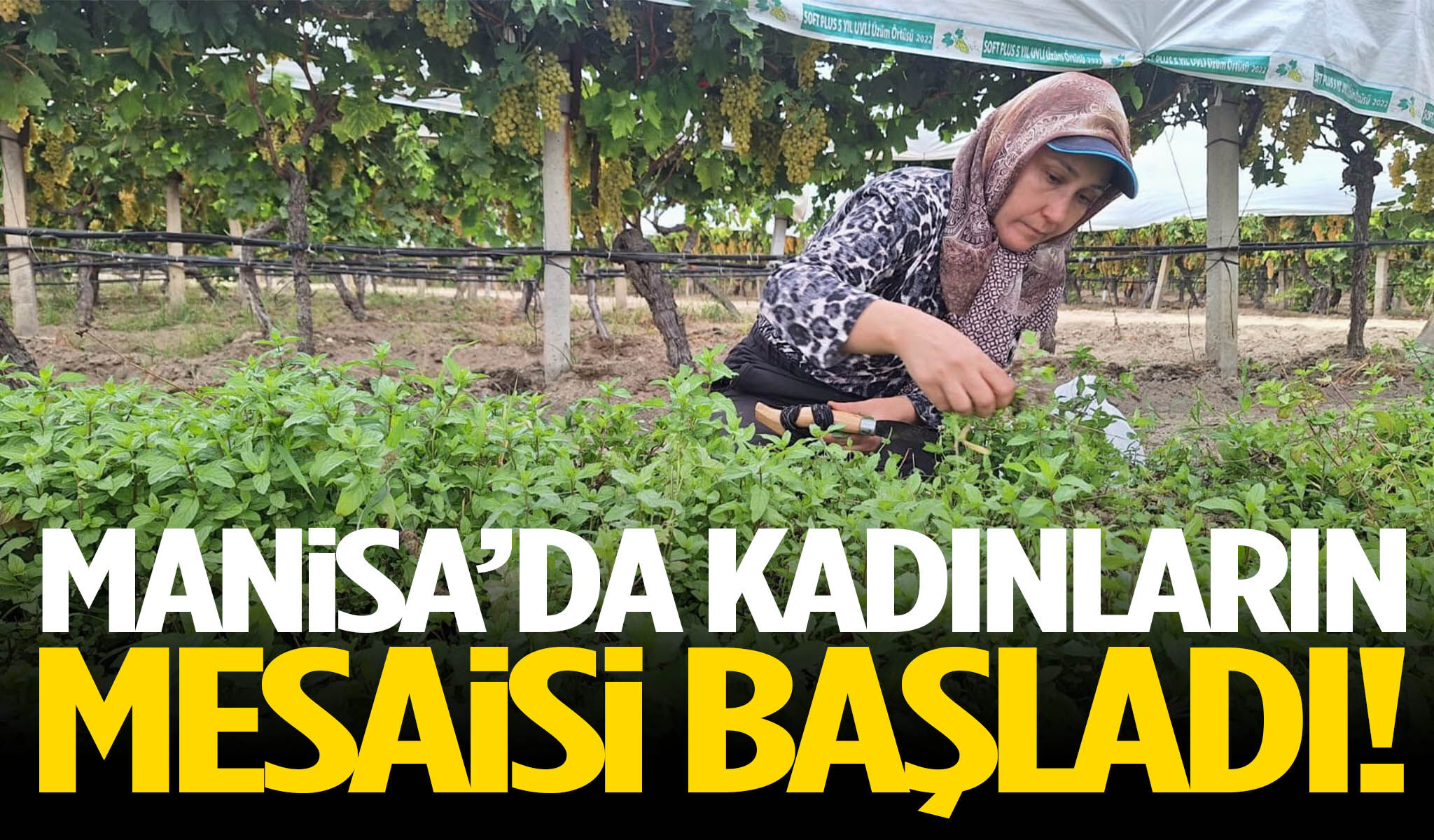 Manisa’da kadınların mesaisi başladı!