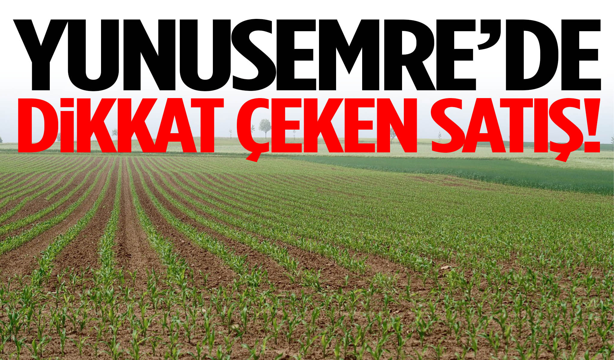 Yunusemre’de dikkat çeken satış!