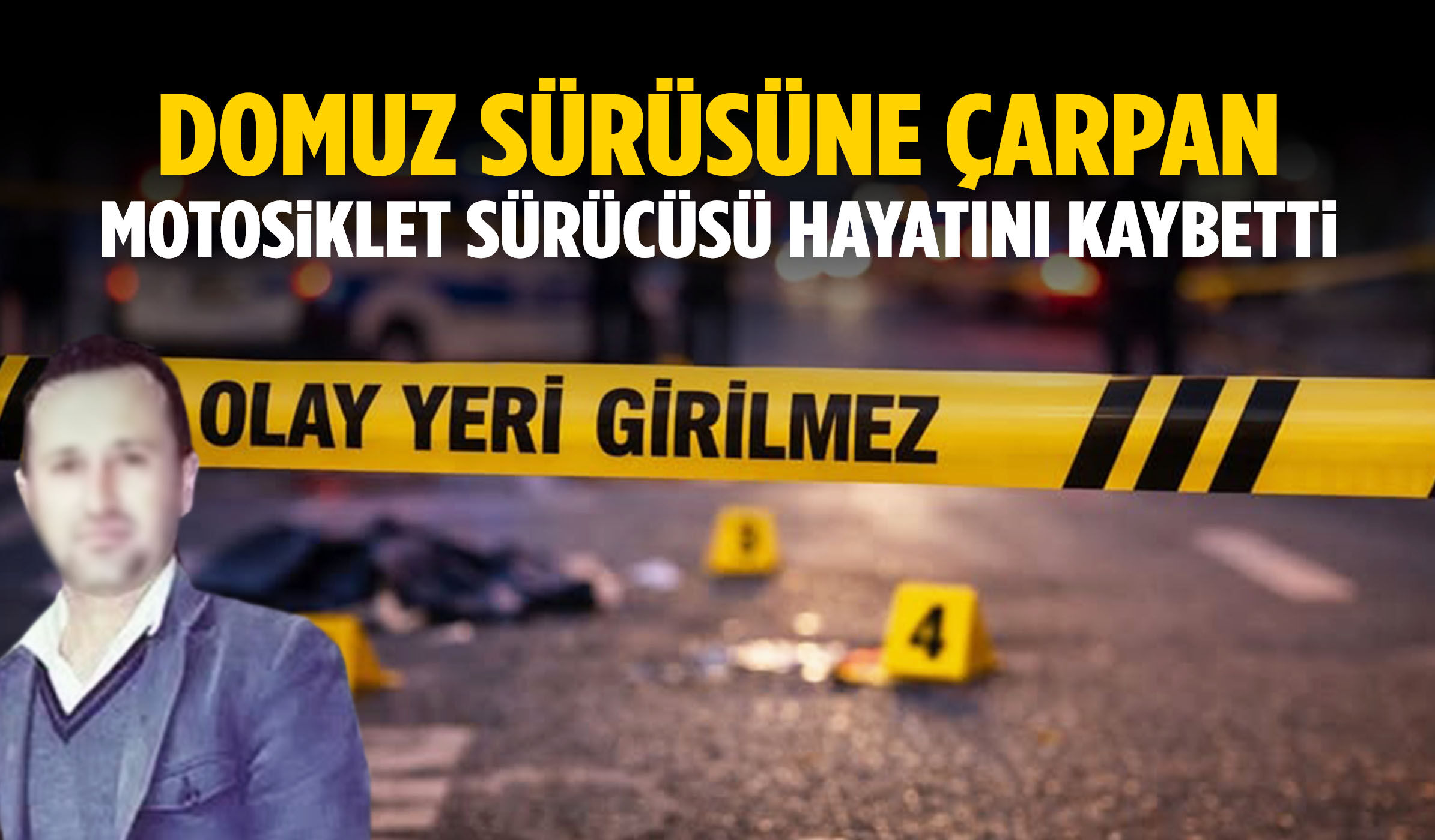 Motosiklet sürücüsünün acı sonu! Domuz sürüsüne çarptı…