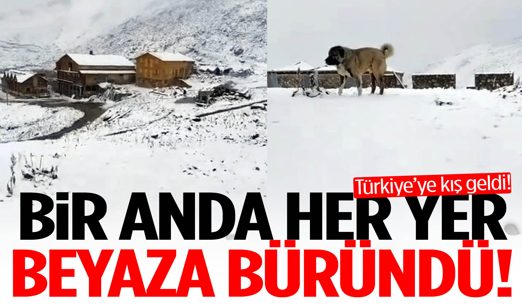 Bir anda her yer beyaza büründü! Türkiye’ye kış geldi