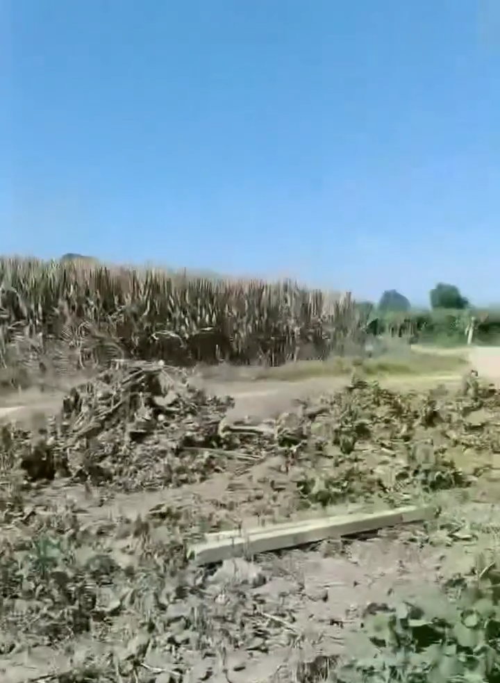 Videoframe 16028