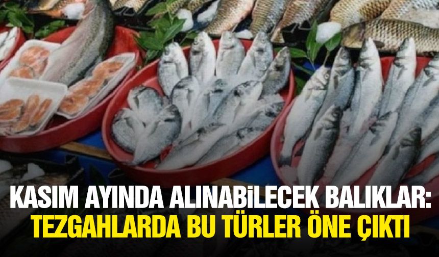 Kasım ayında alınabilecek balıklar: Tezgahlarda bu türler öne çıktı